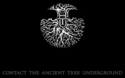 Ancient Tree Underground